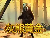 灰熊黃金
