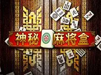 神秘麻將盒