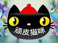頑皮貓咪