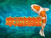 幸運錦鯉