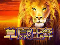 草原狂奔
