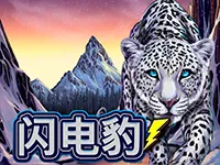 閃電豹