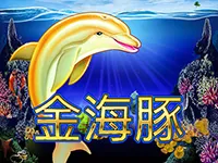 金海豚