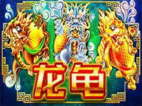 龍龜