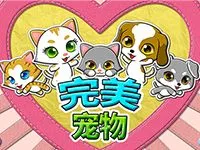 完美宠物
