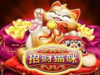 招财猫咪