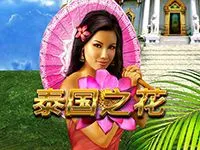 泰国之花