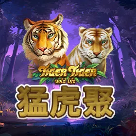 猛虎聚