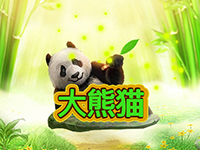 大熊貓